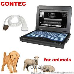 VET Veterinary portable Ultrasound Scanner Machine For Sheep/Goat/Pig+Convex